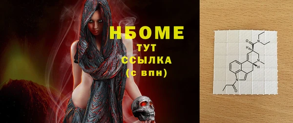 сатива Коряжма
