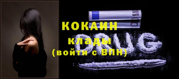 сатива Коряжма