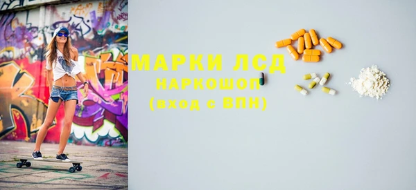сатива Коряжма
