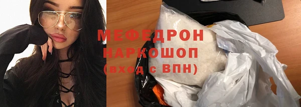 сатива Коряжма