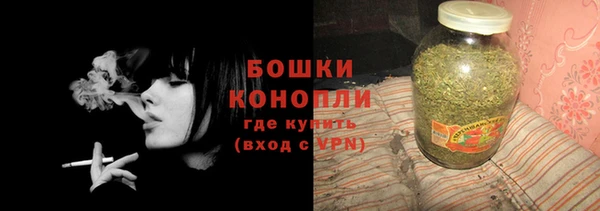 сатива Коряжма