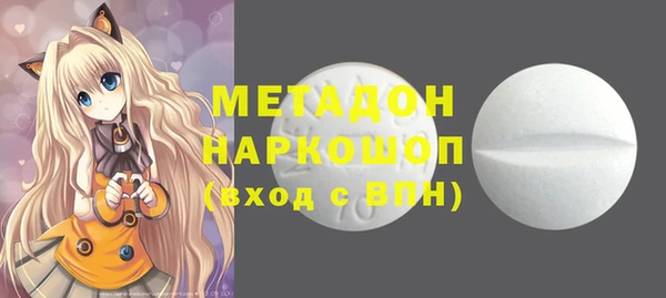 сатива Коряжма