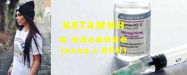 сатива Коряжма