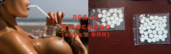 сатива Коряжма