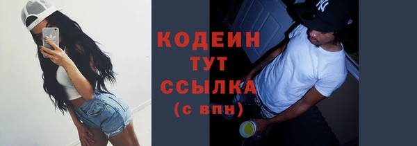 сатива Коряжма