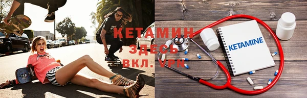 сатива Коряжма