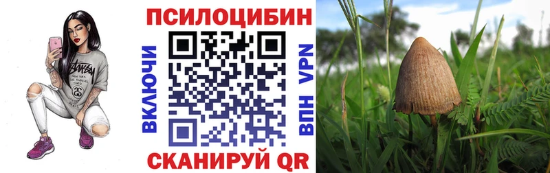 Галлюциногенные грибы Magic Shrooms  Сухой Лог 